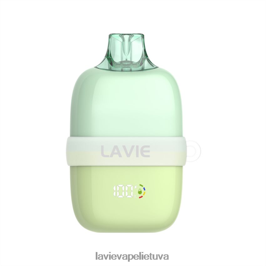 N226RV92 Lavie Vape Reddit | žalių obuolių ledas LAVIE INSIDER 12000 įpūtimų